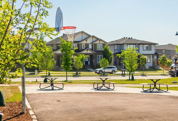 Summer photo of park in Sirocco in Southwest Calgary